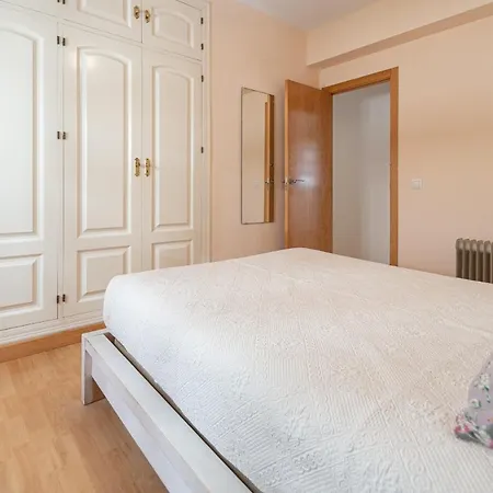 Jacarandas De 카디스