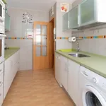 Jacarandas De * Кадіс