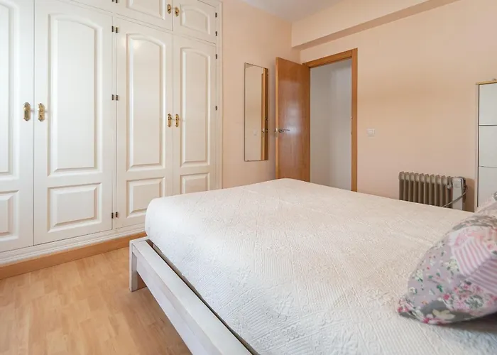 Jacarandas De Cádiz