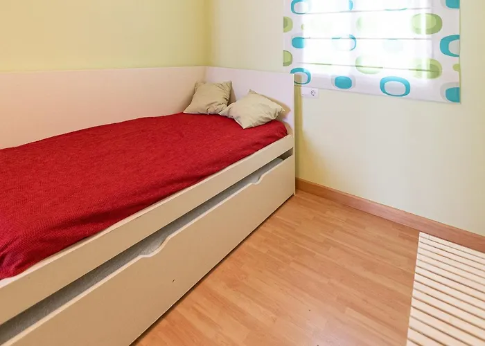 Jacarandas De * Cádiz