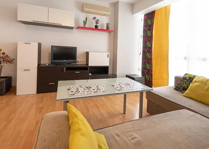 Jacarandas De * كاديز